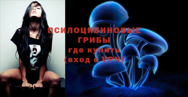 прущий лед Аркадак