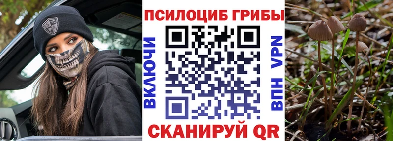 Галлюциногенные грибы Cubensis  hydra зеркало  Ростов 